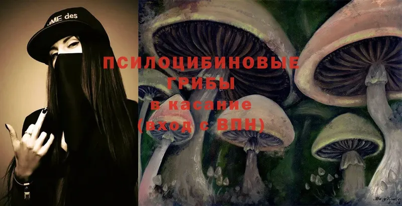 продажа наркотиков  Кукмор  Псилоцибиновые грибы Magic Shrooms 